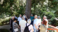 /album/akcia-historicka-nitra-v-dnoch-25-27-5-2026-nitriansky-hrad-katedrala-sv-emerama-diecezne-muzeum-arboretum-mlynany/007-jpg3/